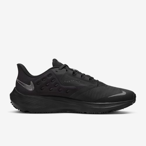 Nike Pegasus 39 Shield DO7625 001 sneaker finder com 2